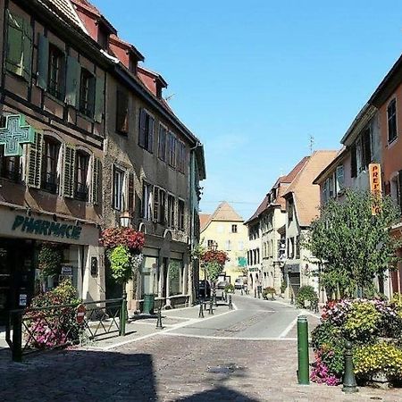 Studio L'Epicea Climatisation Sejour Parfait Soultz-Haut-Rhin Exterior photo